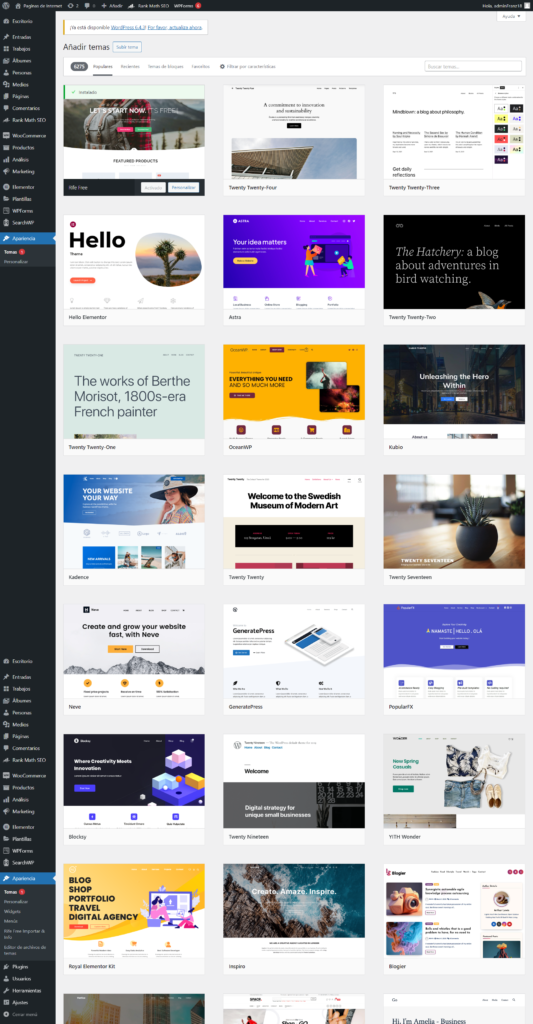 paginadeinterneteconomica-wp-admin-theme-install